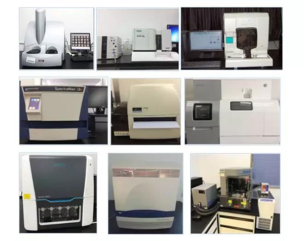 富联娱乐生物技术药物分析部门拥有SpectraMaxM4/M5/i3x, MSD, Luminex, Biacore 8K, Envision, Gyrolab，ABI7500 qPCR等全方位多功能的技术平台，利用LIMS系统实施全面的实验室信息化管理，提供全面符合FDA/CFDA/OECD GLP规范要求的生物技术药物分析服务。