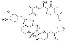 雷帕霉素新制剂用于罕见病，获4500万美元融资