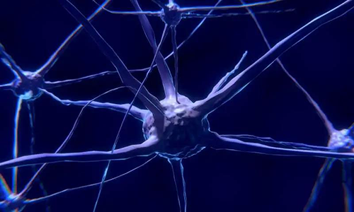 研究首次表明，与年龄有关的认知丧失可能主要是由一种可逆的生理性“阻滞”而不是永久性的降解引起的。