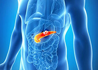 Science：“癌王”胰腺癌终于出现了治疗新曙光