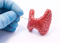 【Science速递】揭开甲状腺的神秘面纱，开启代谢药物新征程