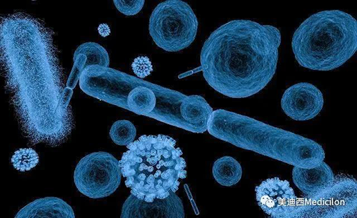 20分钟，大多数细菌都可以繁衍一代 富联娱乐生物医药
