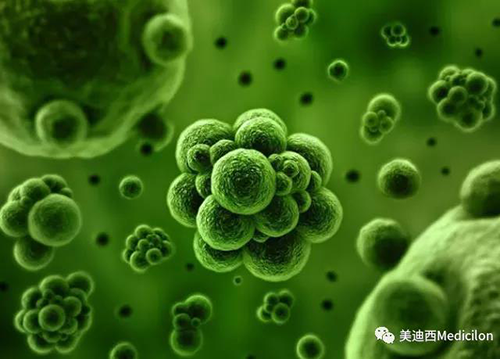 1分钟，全中国就有7.5人被确诊为患癌 富联娱乐生物医药