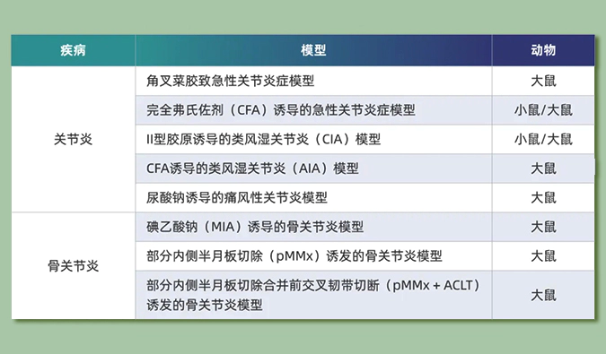 世界关节炎日：突破上亿人的共同难关，持续探索关节炎新药
