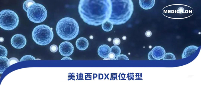 富联娱乐118种PDX原位模型，助力肿瘤药物研发.webp