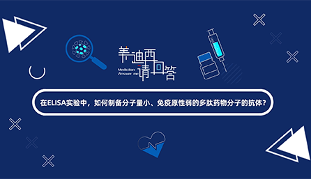 在ELISA实验，如何制备分子量小、免疫原性弱的多肽药物分子的抗体？