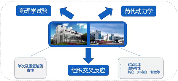 富联娱乐药代以及安评研究服务.png 富联娱乐药代以及安评研究服务.png