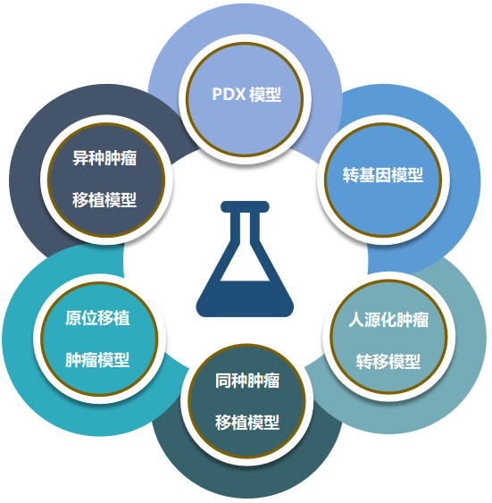 富联娱乐致力于为客户提供成熟的评估ADC体内药效的肿瘤模型.png 富联娱乐致力于为客户提供成熟的评估ADC体内药效的肿瘤模型.png