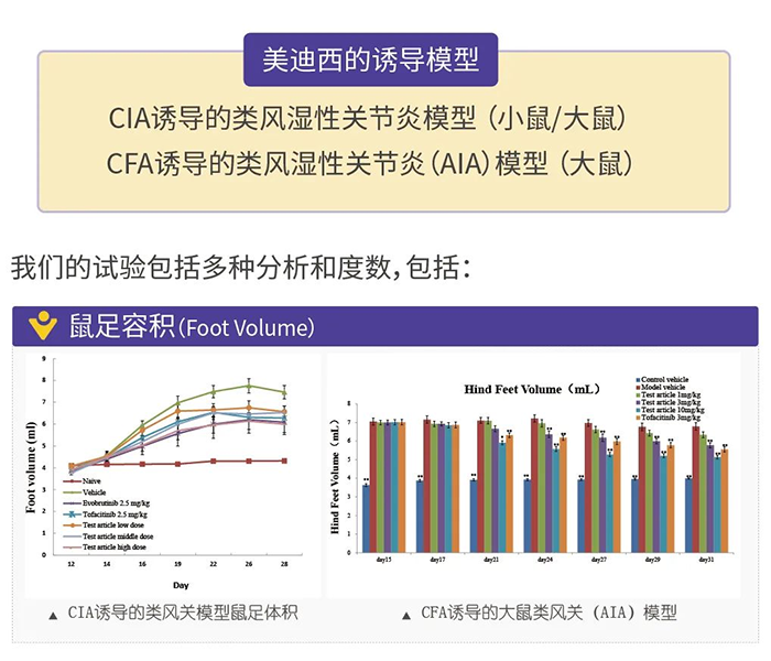 富联娱乐诱导的类风湿性关节炎模型-1.png 富联娱乐诱导的类风湿性关节炎模型-1.png