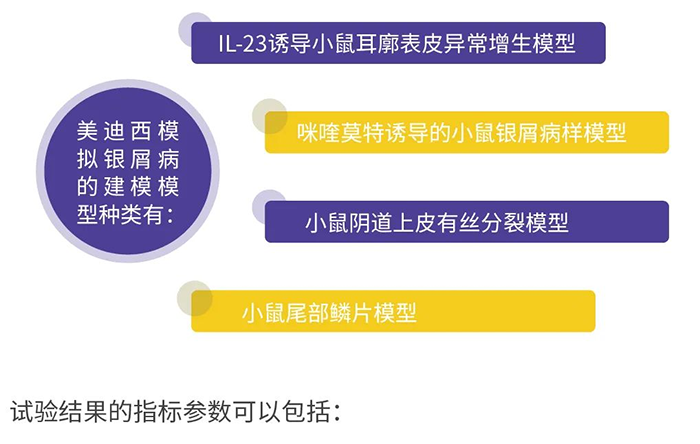 富联娱乐模拟银屑病的建模模型.png 富联娱乐模拟银屑病的建模模型.png