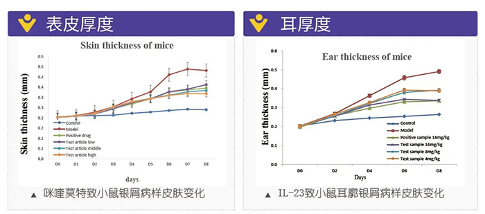 富联娱乐模拟银屑病的建模模型-试验结果的指标.png 富联娱乐模拟银屑病的建模模型-试验结果的指标.png