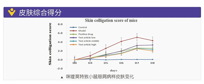 富联娱乐模拟银屑病的建模模型-皮肤综合得分.png 富联娱乐模拟银屑病的建模模型-皮肤综合得分.png