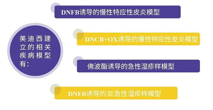 富联娱乐建立的特应性皮炎模型.png 富联娱乐建立的特应性皮炎模型.png