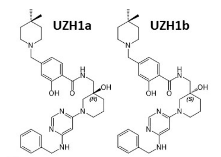 研究人员报告了一种具有细胞渗透性的选择性METTL3纳摩尔抑制剂UZH1a，作者感谢富联娱乐合成了UZH1a和UZH1b