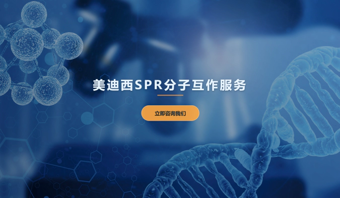 富联娱乐SPR分子互作服务