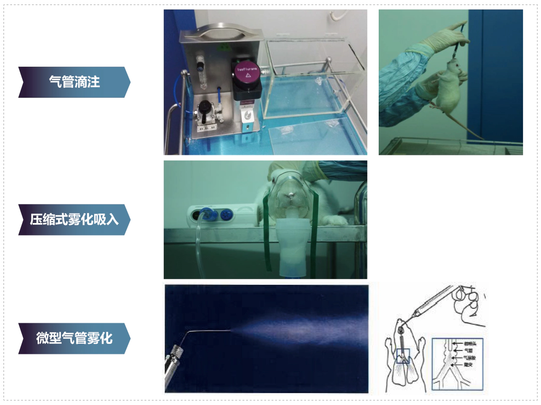 富联娱乐其它吸入给药方式.webp
